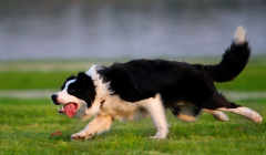 ������θ����ô���ƱȽϺã�