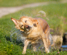 ������·���ȵ�ԭ��