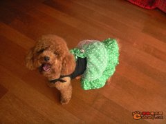 ̩����ô���ƱȽϺã�