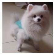 �������ӱ�ɫ��ô�죿������ɫ��ǳ��ô����