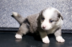 ��������������ô���£�