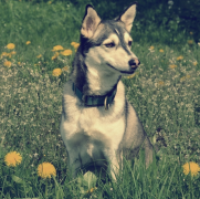 ʲô���Ĺ���Ҫ����