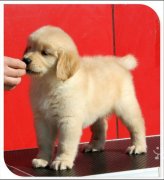 ����������·������ô�죨ͼ��