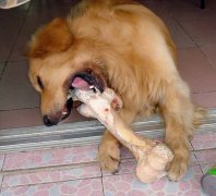 ��λ�����Ȯ�����ݣ�