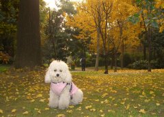 �������ȱ����ô�죿