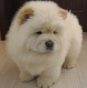 ��������������ô�죿��ͼ��