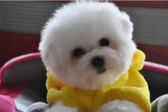 ����Ϊʲô����ۣ��������ô�죿��ͼ��