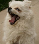 �������г�ʲô��