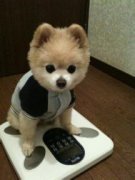 �������Ӳ�����ô�죨ͼ��