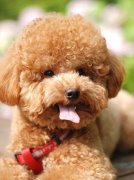 5���¹����������ô�죿��ôԤ����������