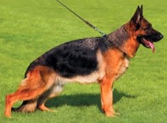 ����ʲôʱ����Ҫ���ƣ�ͼ��