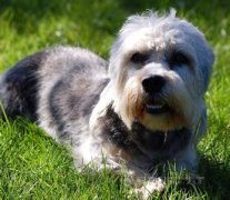 �̽ų�������ð��ô�죨ͼ��