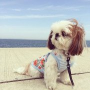 ������ʳ��ε�����