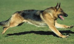 ����Ȯ��ô��ȷ���ƣ�