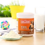 ��èӪ��������ô�죨ͼ��