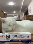 èӪ������ôι