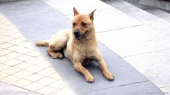 ���������ӳ�ʲô����Ӫ������ͼ��