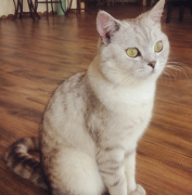 èֻ��è��������