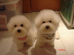 ̩��Ȯ���ּ�������ʳע�⣡��ͼ��