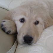 �����������ʲô��ͼ��