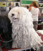 ����Ȯ��ôι��������Ӫ����ò��ã�