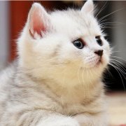 è�䳦θ������ô��