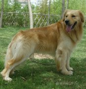 ��ë��Ȯιʲô�̷ۣ�