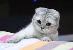 �۶�è��ʲô��