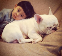 ��Ȯ���̺��ʲô