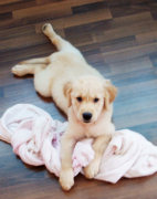 ��Ȯ�Գ�Ȯ������