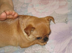 ��θ�����Ĺ�����ʲô��