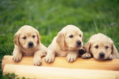 ������������ô�죿����ͼ��