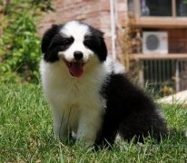 2���µı�����ʲô��ͼ��