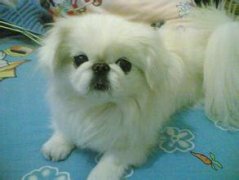 С��������������Ԥ�����ֵ�ע�������ͼ