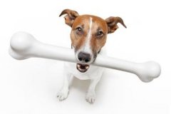 ��ͷ�Թ���������Ӱ�죨��ͼ��