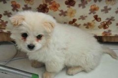 �������������ô���£�����ͼ��