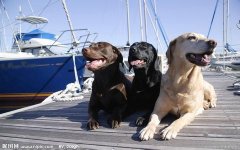 ����ù���������������ͼ��