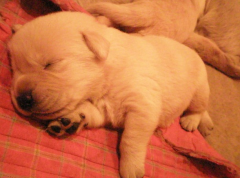 ��Ȯ��ôι������Ȯ��ʲô�����