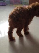 ������ϡ��ԭ������Щ������ͼ��