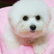 һ��ı��ܳ�ʲô��ͼ��