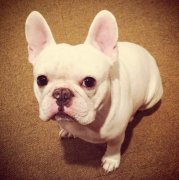 ��ʿ����ˮ��ô��