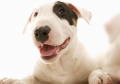 ��������ҩ��ô�ԣ���������������ǹؼ�