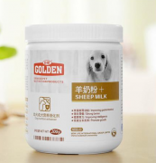 1���´���ܳ�ʲô