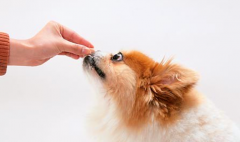 �����԰ݳ���Ż��