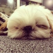 �����´��ëÿ�ٳԶ���