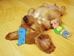 ��ë��ˮ��ô��