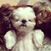 �����µ�С�����Է���ô��