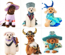 һ��̩�ϲ��Զ���