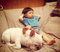 �ն��̵�̩�ϳ�ʲô