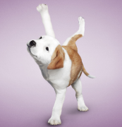 2���´���һ��Զ���